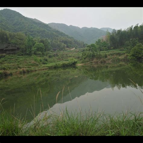 屋後有水池|【屋後有水池風水】屋後有水池風水？專家解密「後方水池」影。